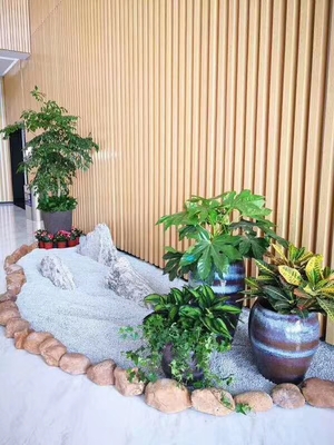 奉贤区植物租赁设计方案,室内花园角落打造,石圈围绕的绿植装点。