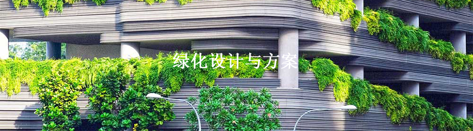 硚口植物租赁服务展示，建筑外墙覆盖的繁茂绿植，体现城市绿化和美化环境的效果，舒臣一花一木为您的空间增添自然气息。