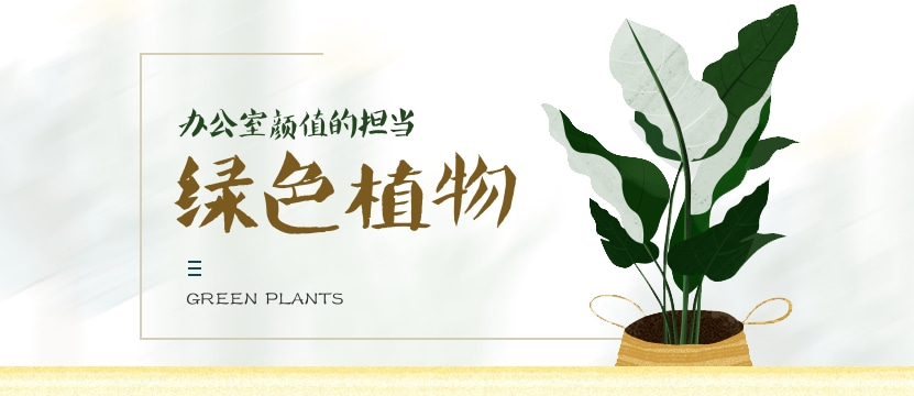 虹口区室内植物租赁服务展示，优雅的绿色盆栽植物设计，增强办公室及商务环境的自然氛围，上海绿化租赁首选。