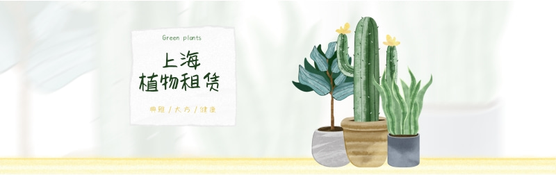 上海植物租赁，舒臣一花一木提供多样室内绿植，优雅仙人掌和多汁多肉，完美适配办公与家居。环境友好，美化空间，现在就选择您的绿色伴侣。