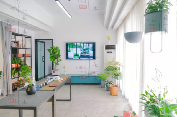 环保植物租赁服务