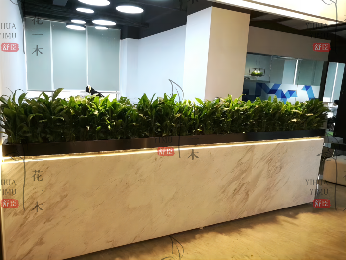 植物租赁，办公室绿化，成本节省，绿化经济方案，长期维护，节约成本，绿化服务，舒臣一花一木