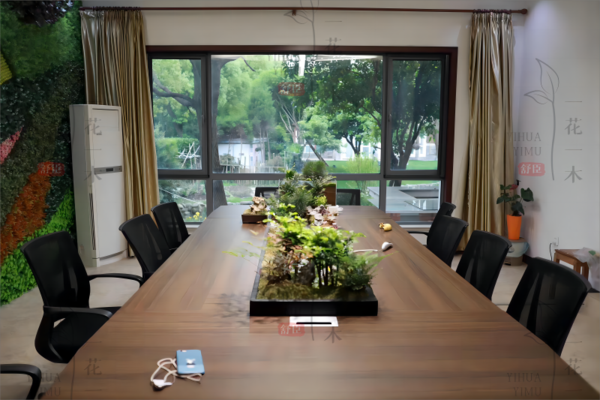 黄浦区植物租赁, 商业绿化解决方案, 黄浦区绿化服务, 植物租赁优化体验, 黄浦区商场绿化